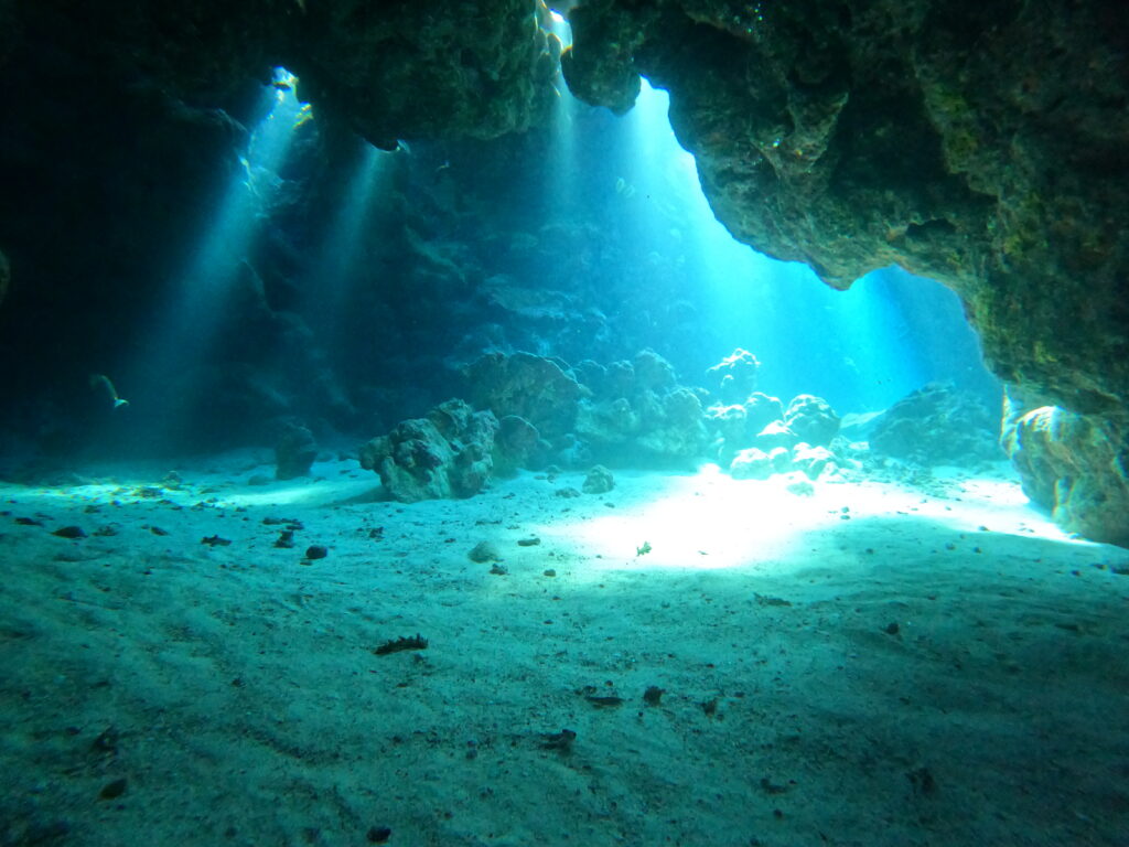 Coral Reef Divers - Marsa Alam Dive Center