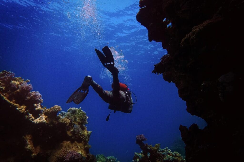 deep-diver-course