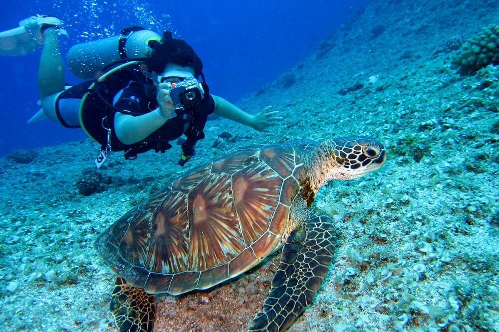rescue-diver-course-marsa-alam.jpg