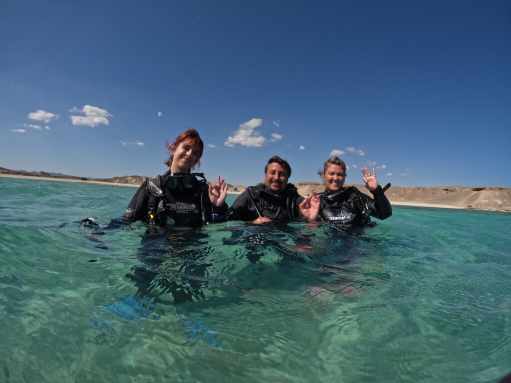PADI Open water certificate