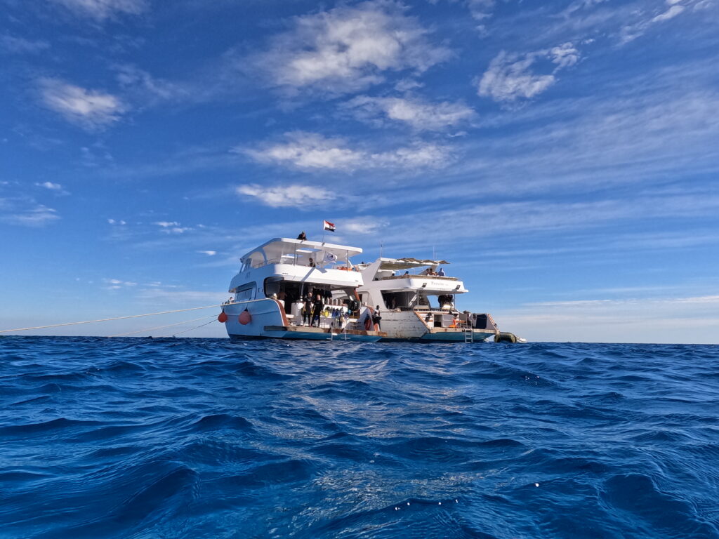 Boat tour marsa alam